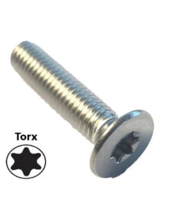 Vis Inox Torx M8