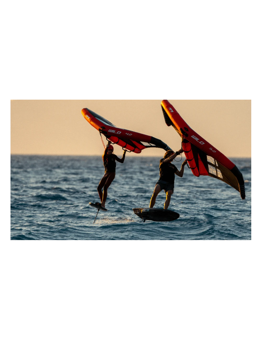 Wing AFS Wild 3 Wing AFS Wild – Image 3